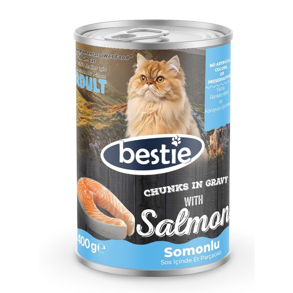 Bestie Somonlu Kedi Konserve Maması (400 Gr)